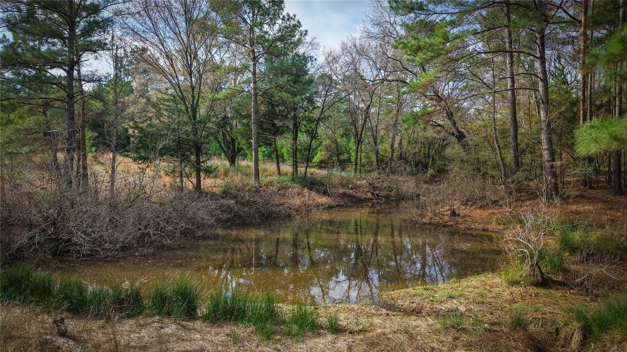 (39.15 acres) 12868 County Road 122 - Photo 1