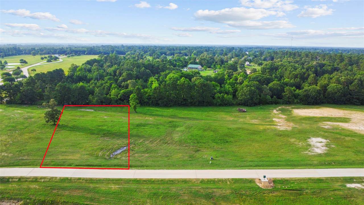 2407 Emerie Arbor Lane - Photo 1