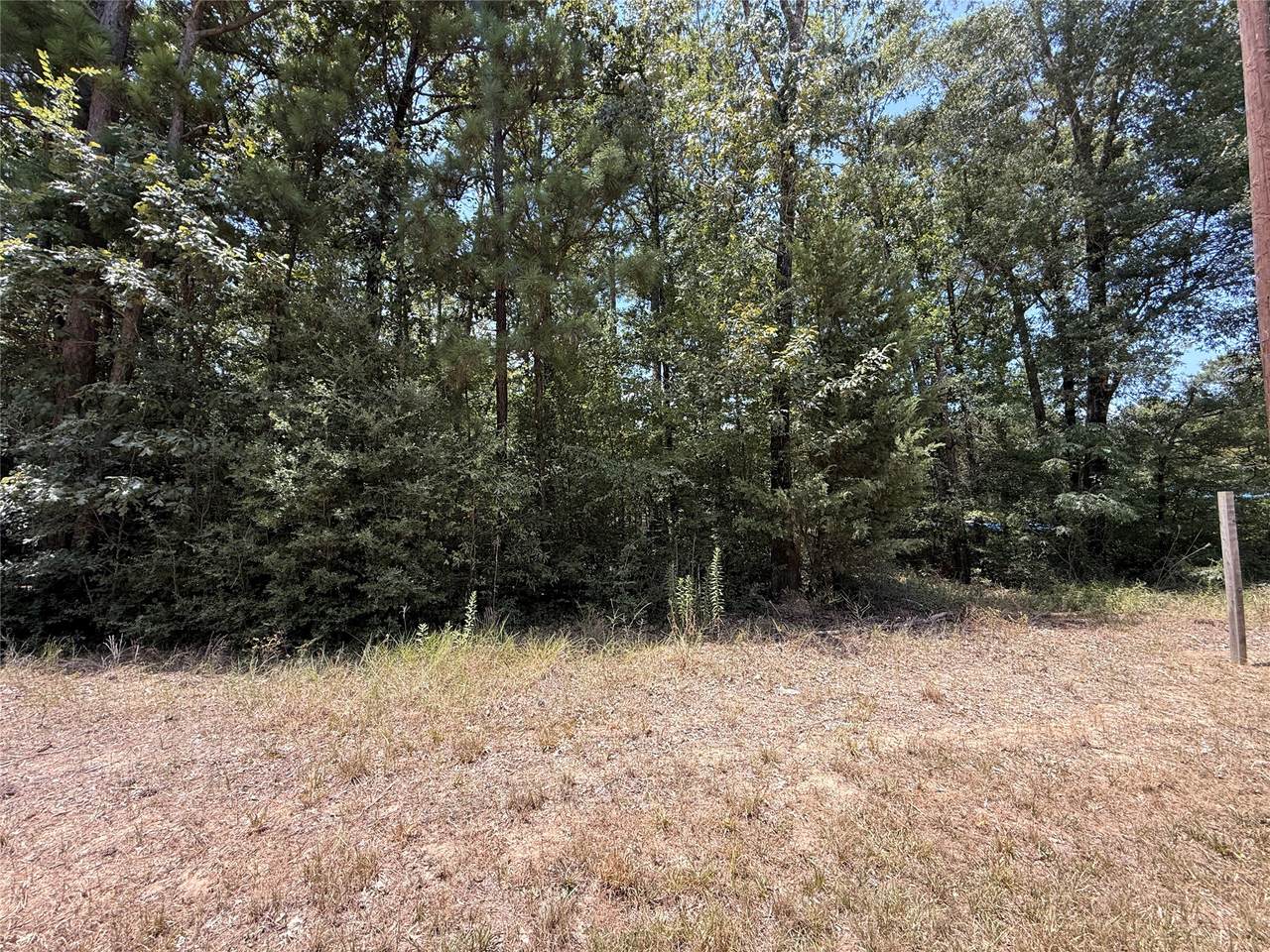 13 Quailcrest - Photo 1