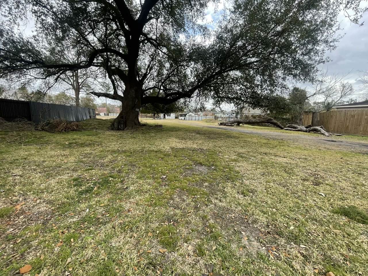 0 Knox Street - Photo 1