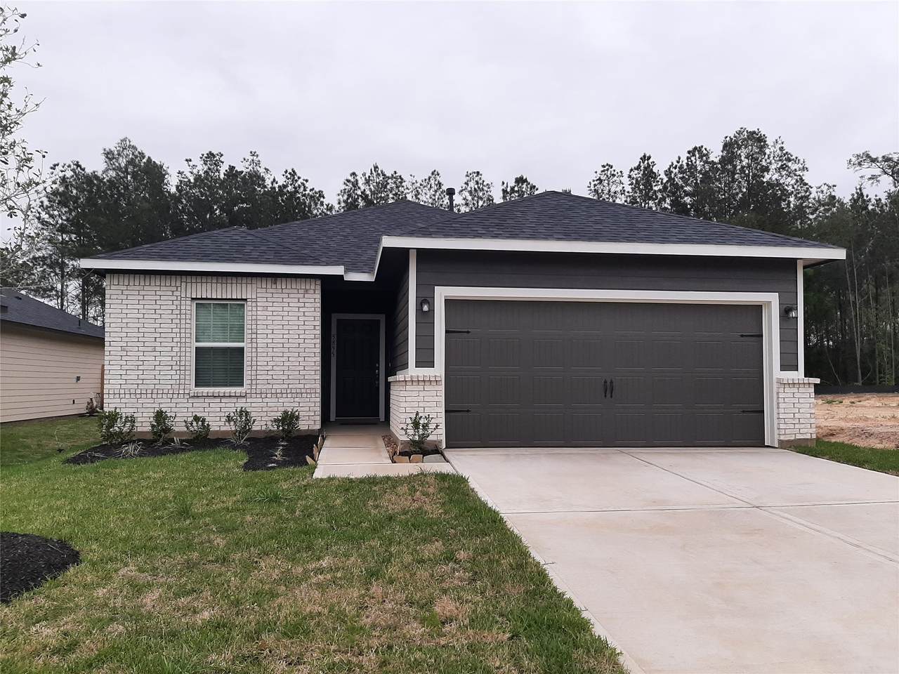 5855 Strawflower Lane - Photo 1