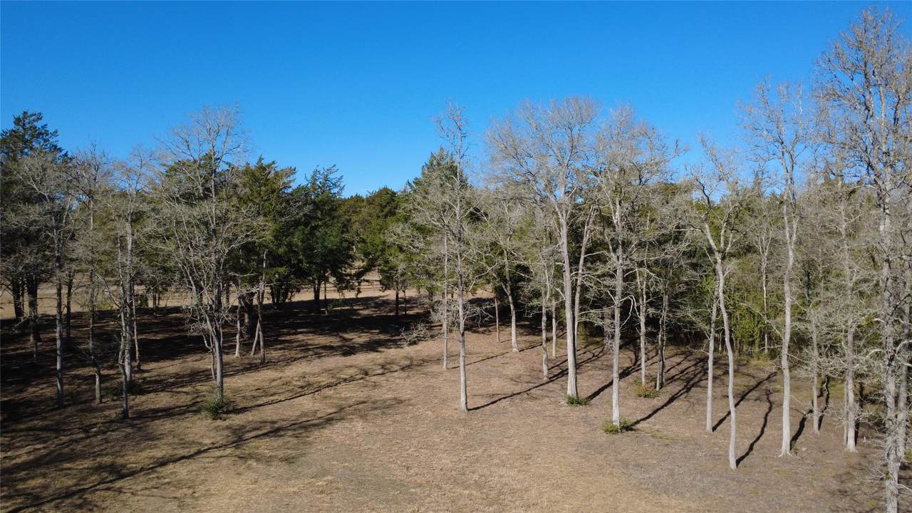 8272 Timber Bridge Lane - Photo 1