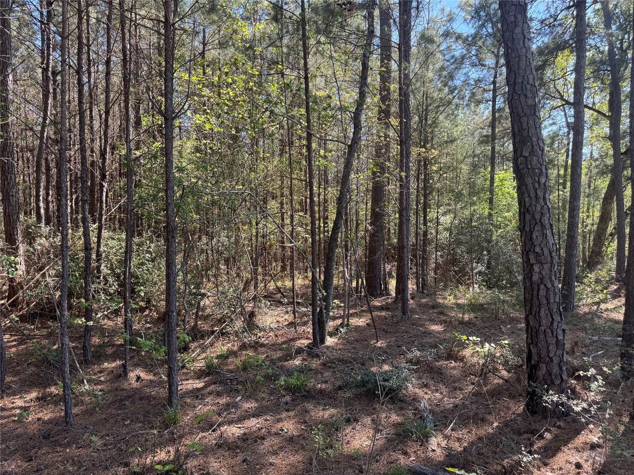 Tract 107 Hwy 156 - Photo 1