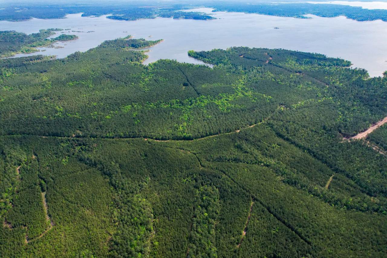 https://bt-photos.global.ssl.fastly.net/harmls/1280_boomver_1_56201252-2.jpg