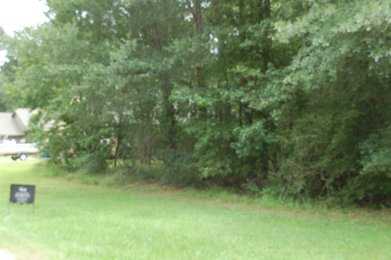 25 Firewood Road - Photo 1