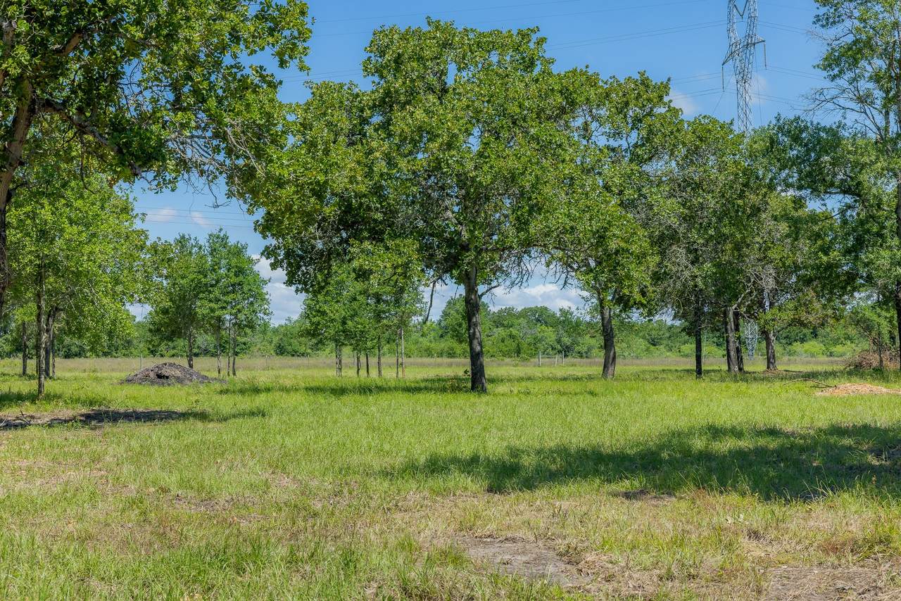 6593 Atakapan Trail - Photo 1