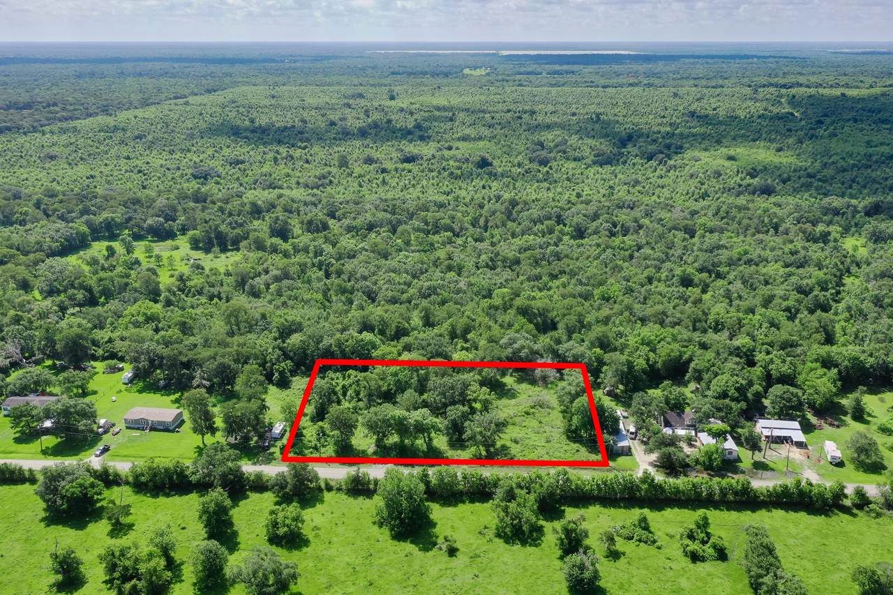 359 County Road 472 - Photo 1