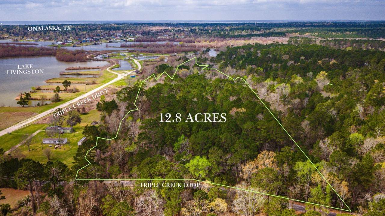 160 Triple Creek Drive - Photo 1