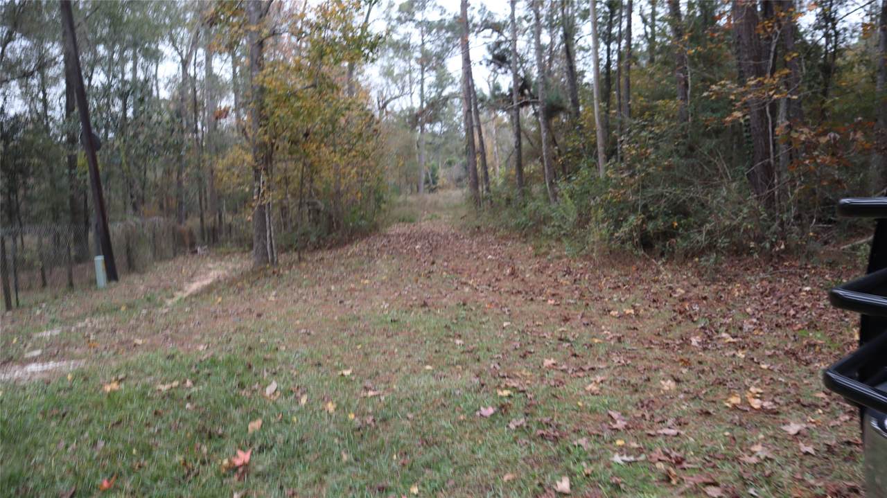 0 E Mourning Dove Trail - Photo 1