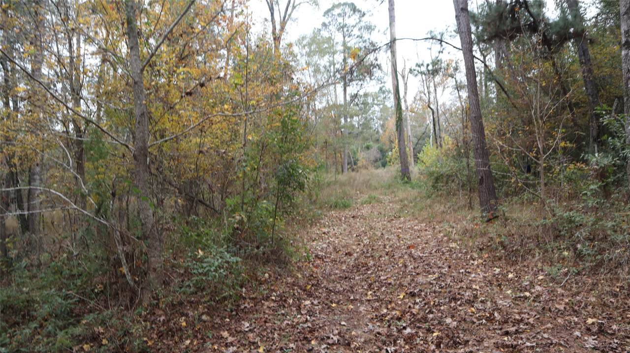 https://bt-photos.global.ssl.fastly.net/harmls/1280_boomver_1_57155806-2.jpg
