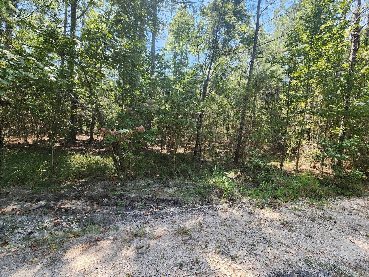 285 Sweet Gum Drive - Photo 1