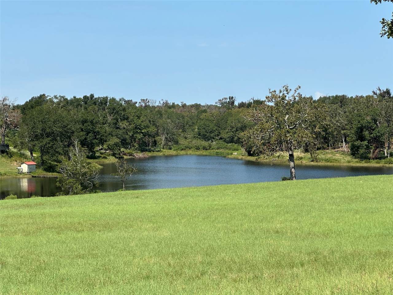 Lot 87 Horseshoe Lake Ranch - Photo 1