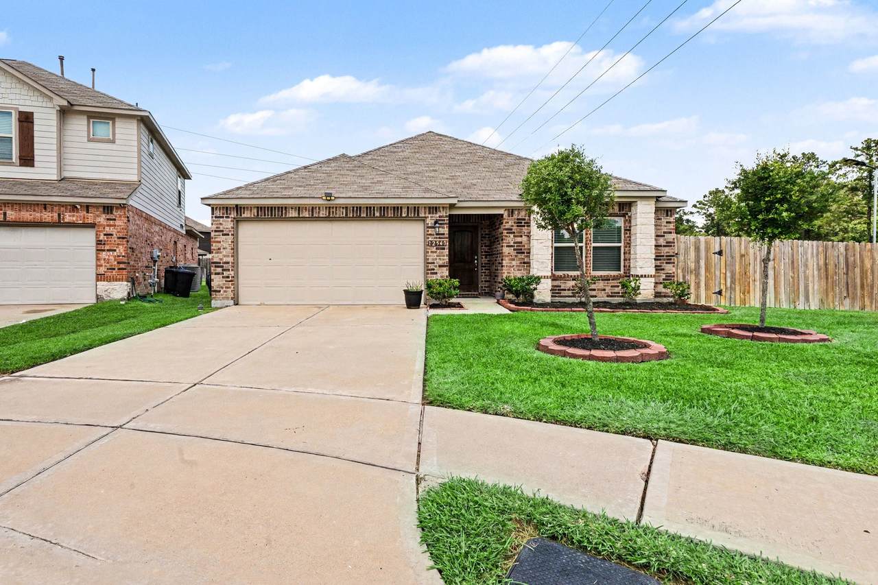 12547 Starry Summer Lane - Photo 1