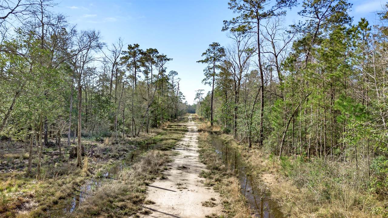 12310 Picos Road - Photo 1