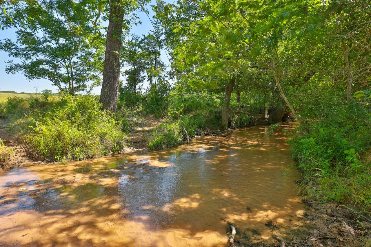 Tract #10 Cr 305 Road - Photo 1