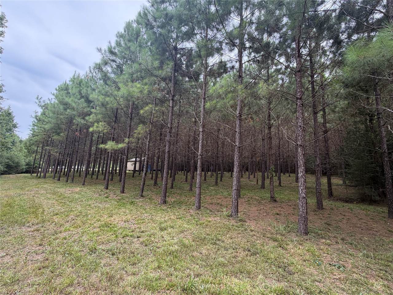 00 Cody Road - Photo 1