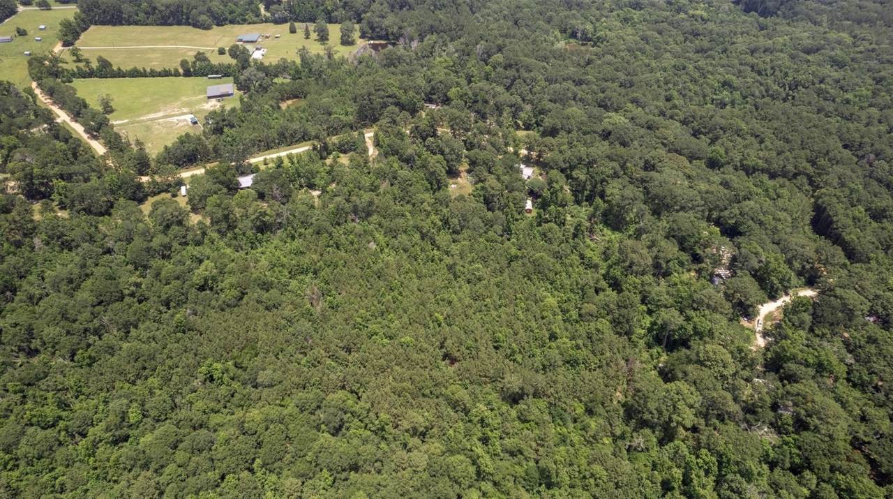 TBD Magnolia Road - Photo 1