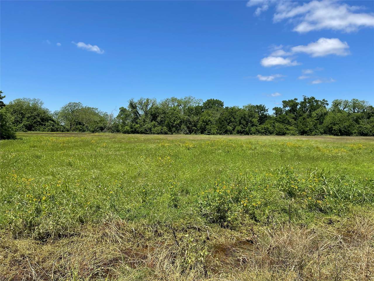 TBD County Road 245 - Photo 1