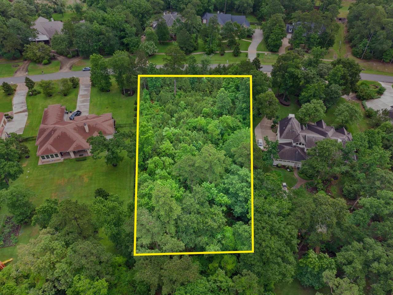 27403 Whispering Maple Way - Photo 1