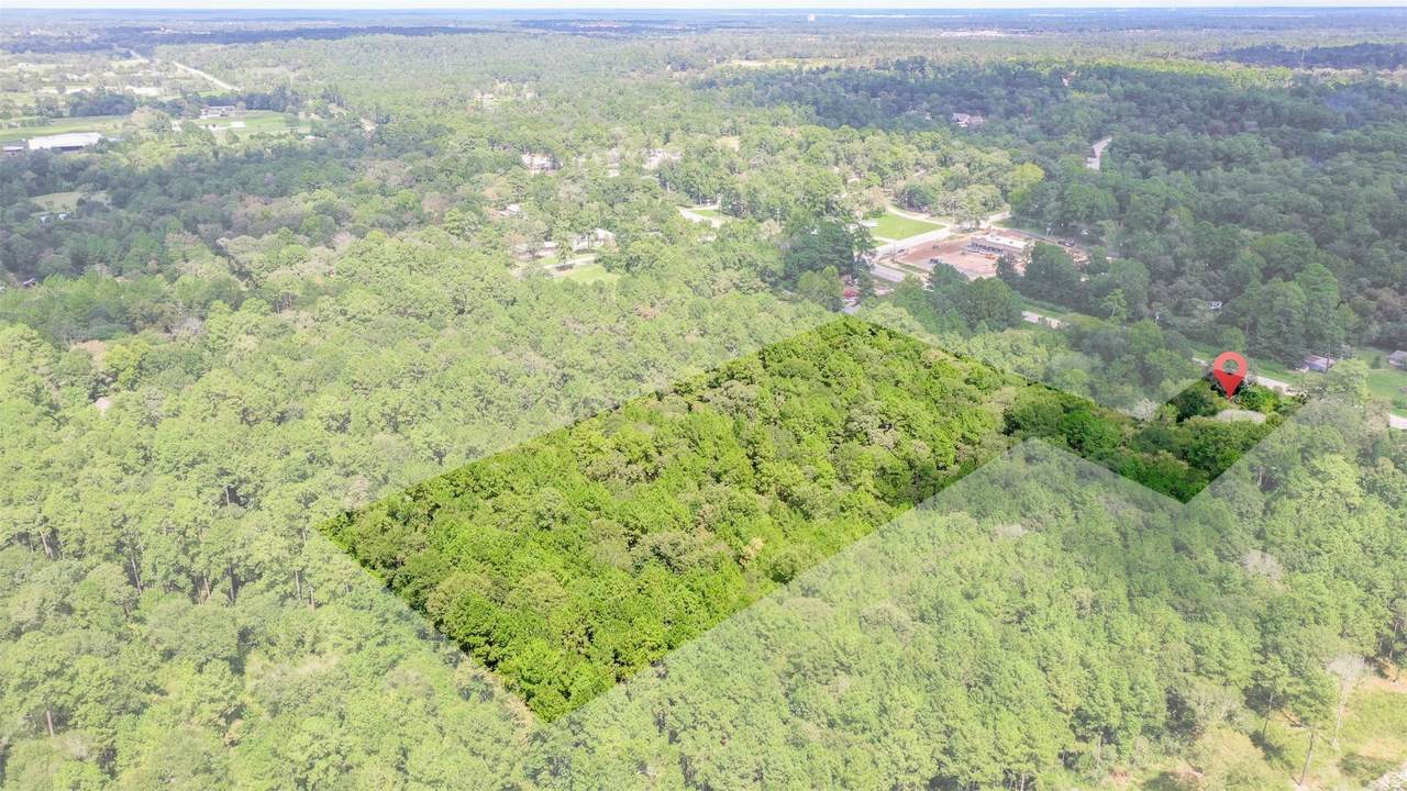 9367 Fm 149 Road - Photo 1