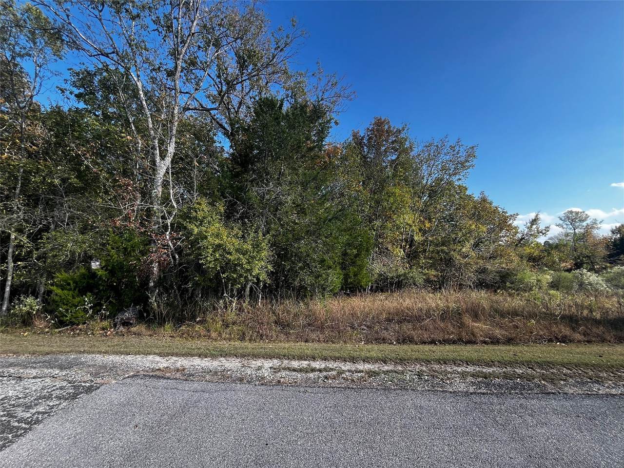 165 Pine Harbour Drive - Photo 1