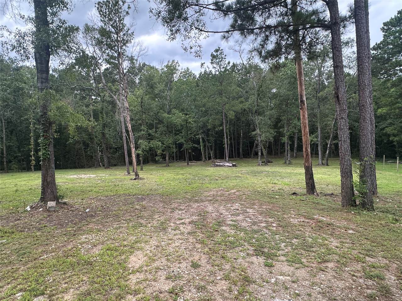 97 Oak Tree Drive - Photo 1
