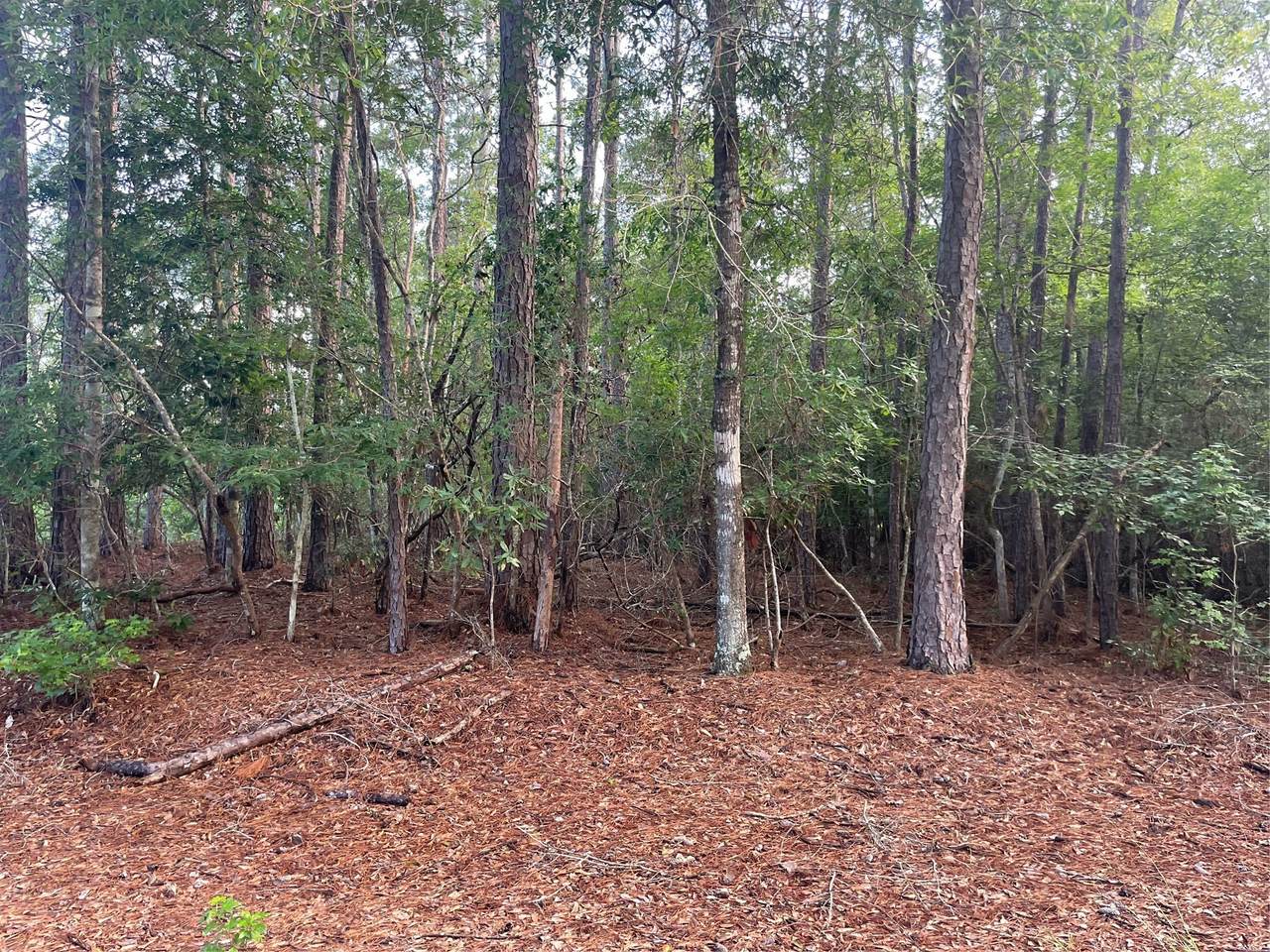 LOT 2 Buckeye Street - Photo 1