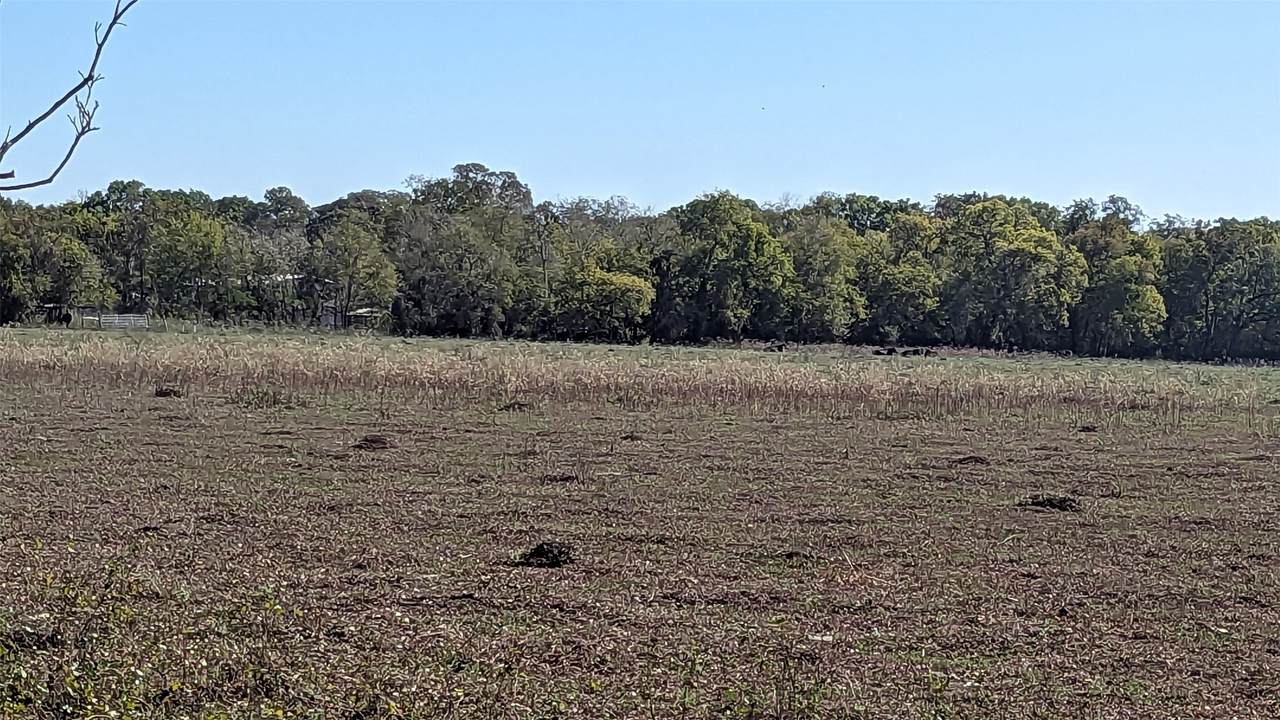 0000 County Road 159 - Photo 1