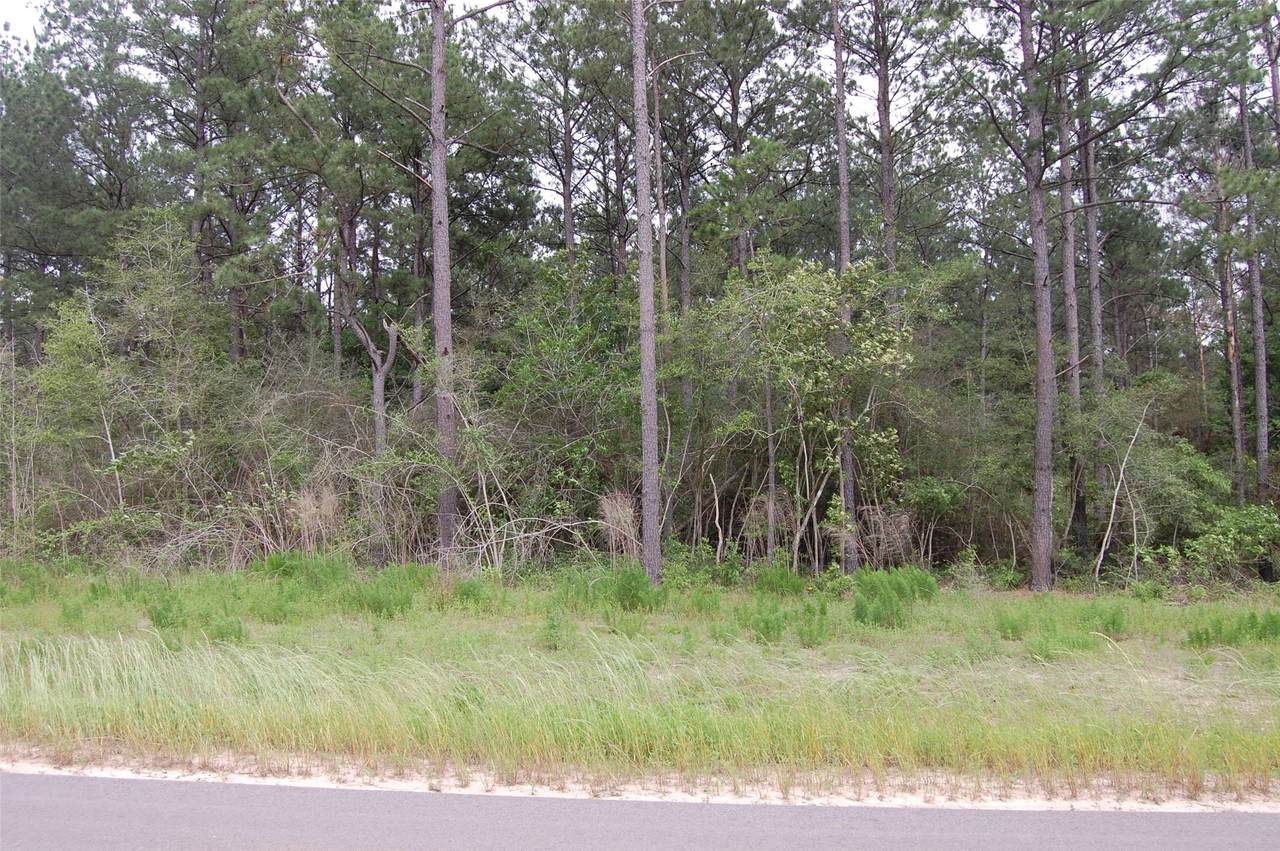 15674 Forest Grove Drive - Photo 1