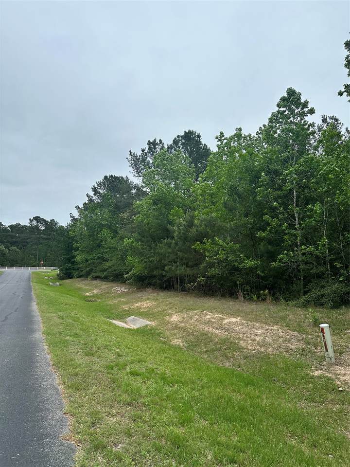 28117 Horse Shoe Lane Lane - Photo 1