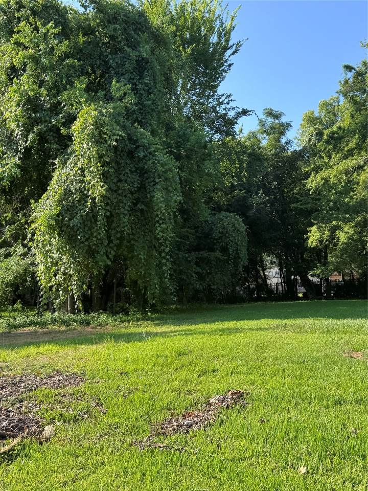 910 Sherman Street - Photo 1