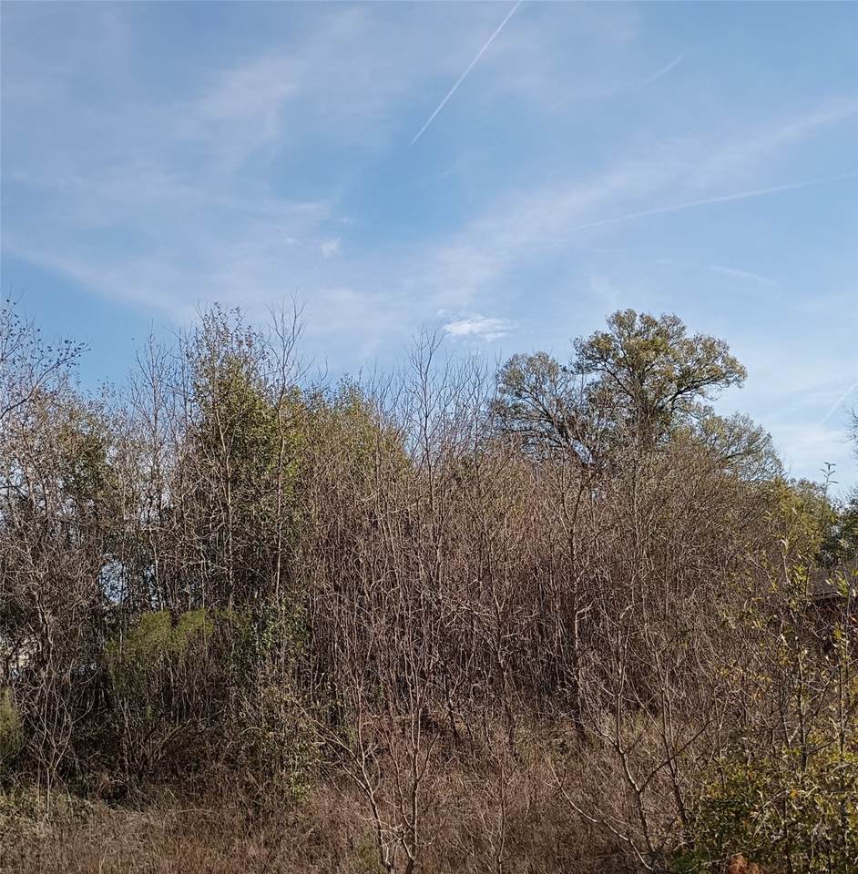 425 County Road 5041 - Photo 1