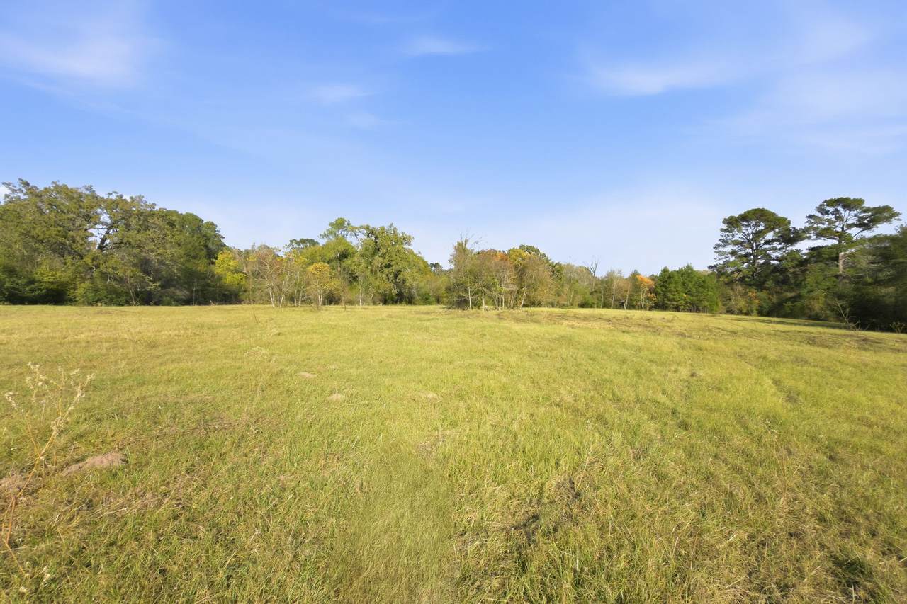 TBD County Rd 204 - Photo 1