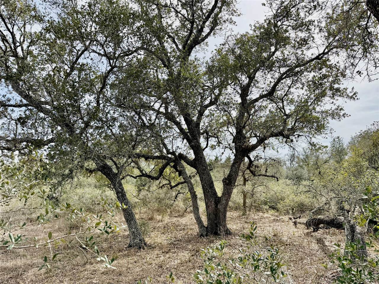 19.88 acres Friar Road - Photo 1