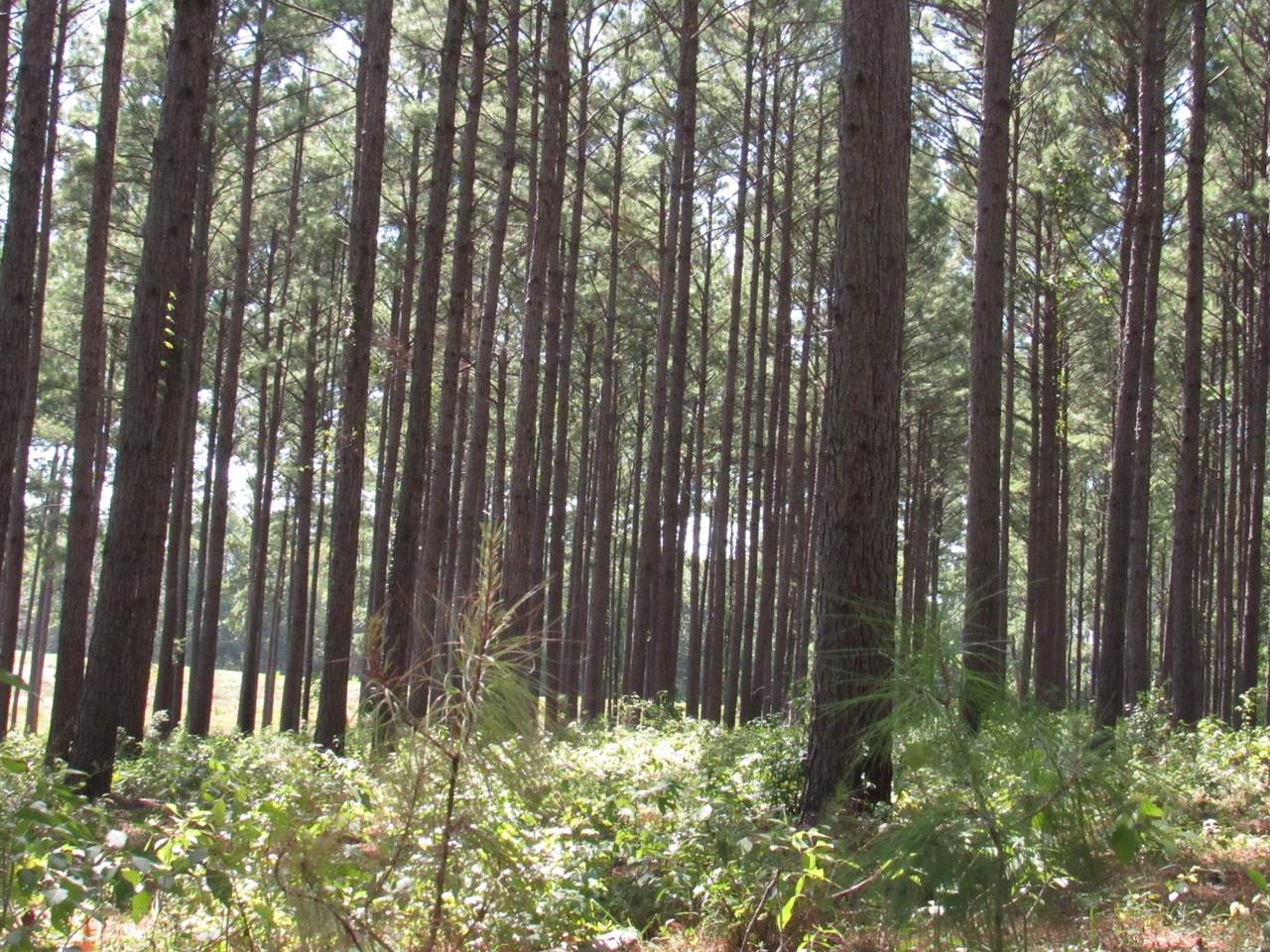 0008 Fm 256 N - Photo 1