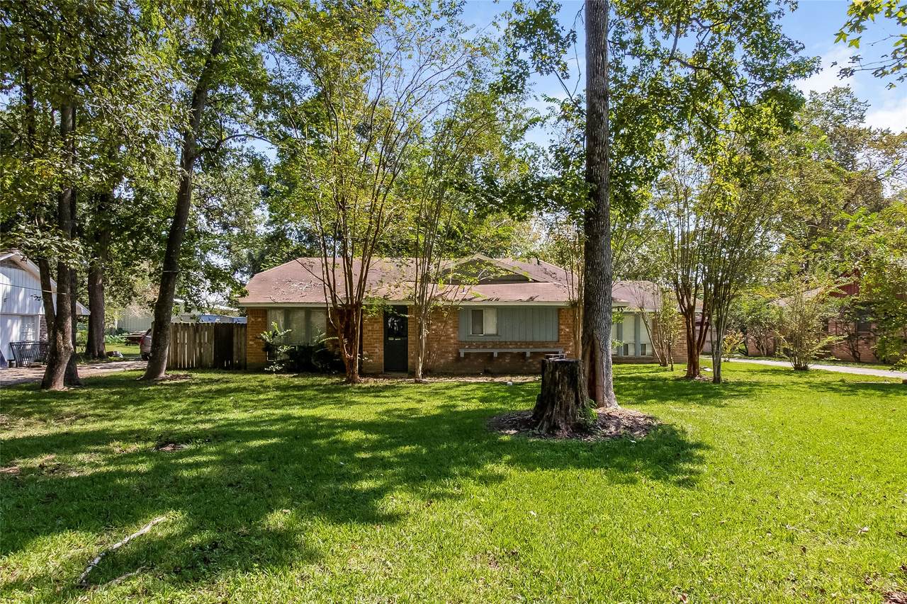 20315 Youpon Lane - Photo 1