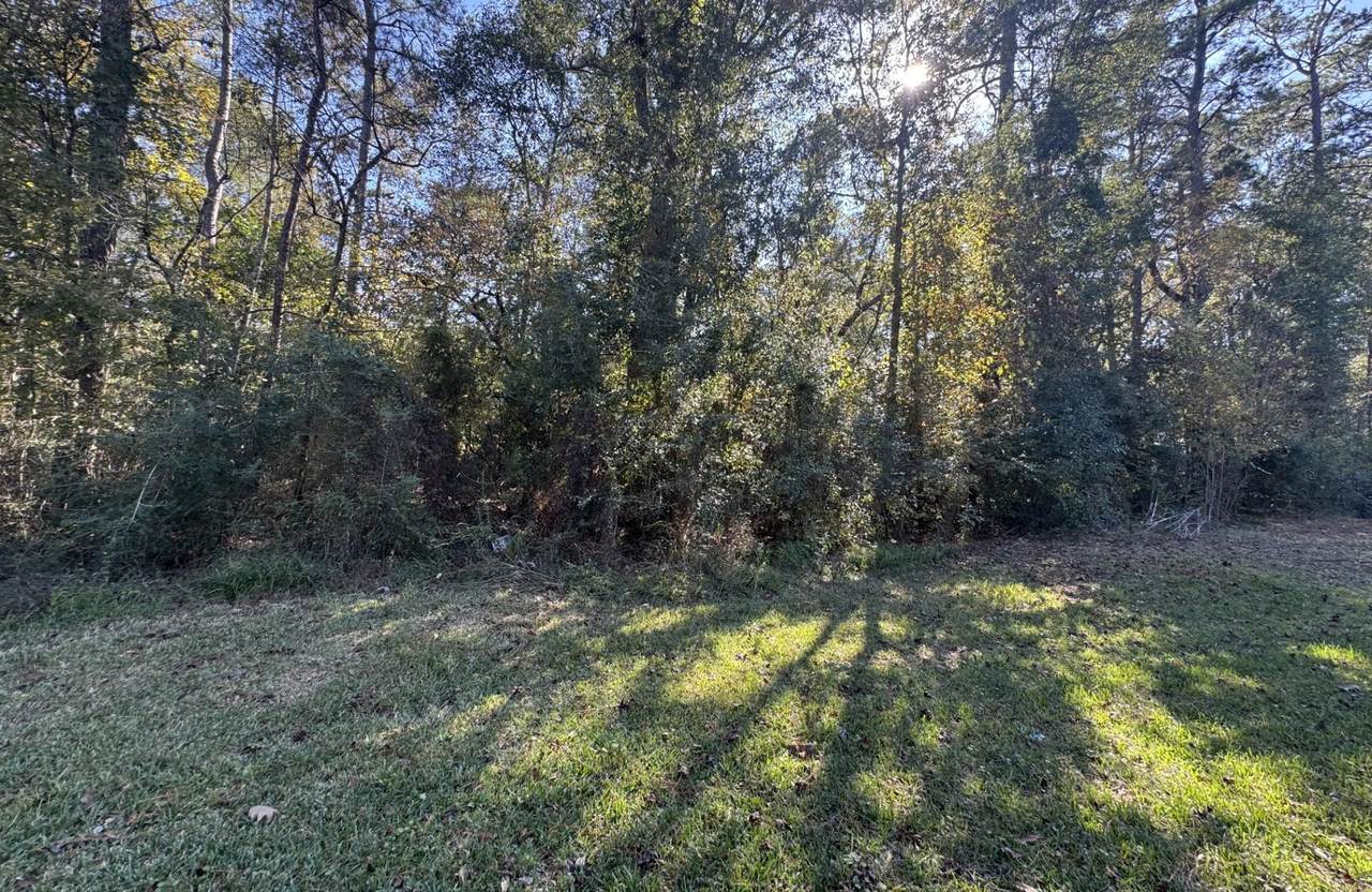 TBD Hunters Trail - Photo 1