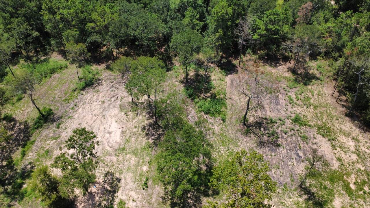 TBD County Road 201 Loop - Photo 1