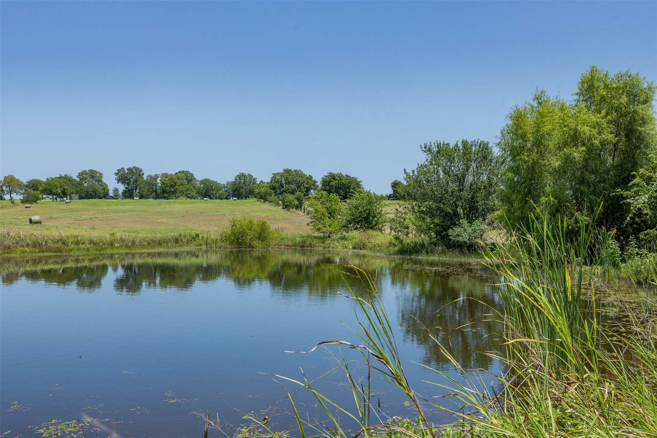 TBD Mayer Cemetery Road - Photo 1