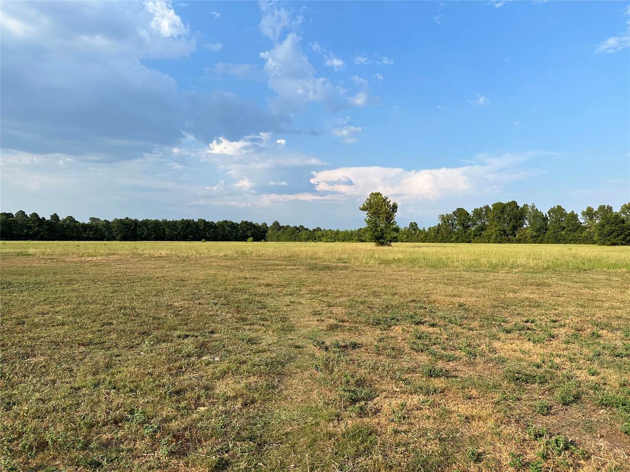 TBD Hwy 105 County Road 2266 - Photo 1