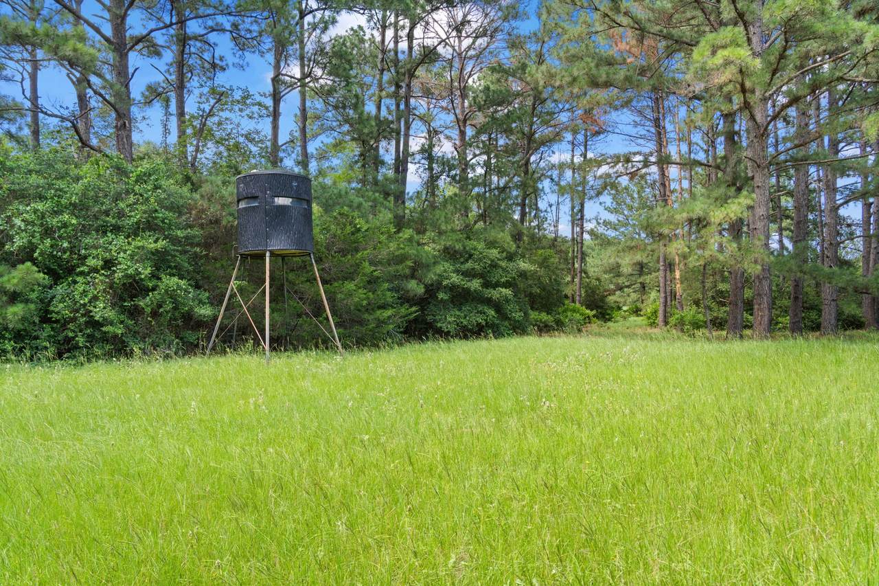 TBD (Tracts 11 & 12) St Delight Road - Photo 1