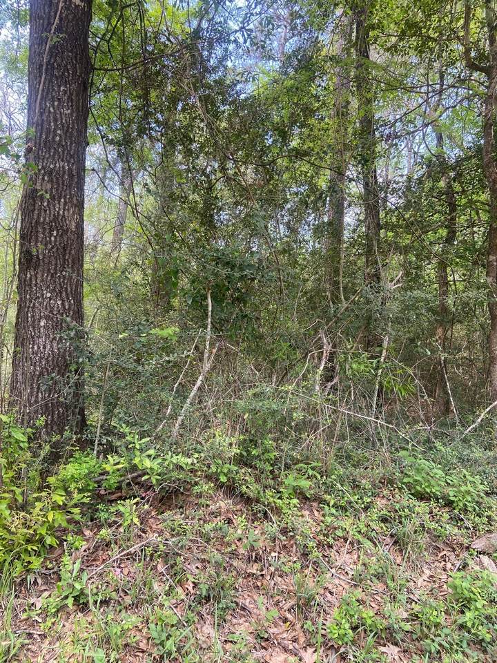 0 Friar Tuck Drive - Photo 1