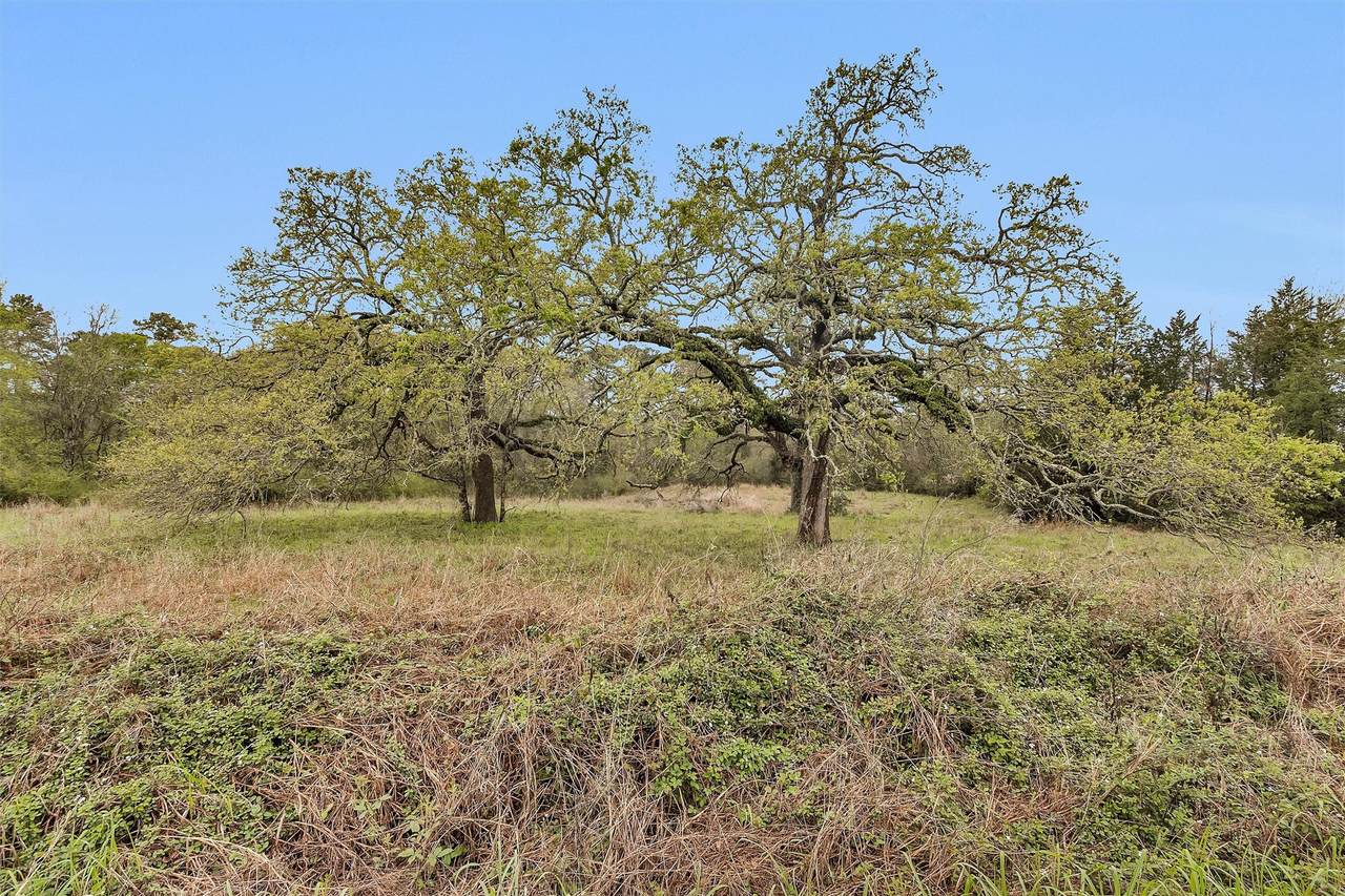 2478 Fm 980 Road - Photo 1