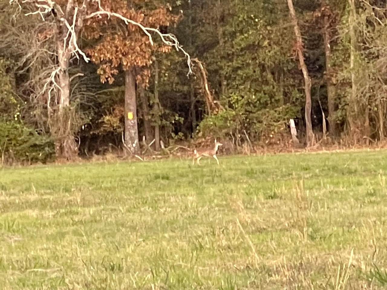 0000 North Mcgee Bend Loop - Photo 1