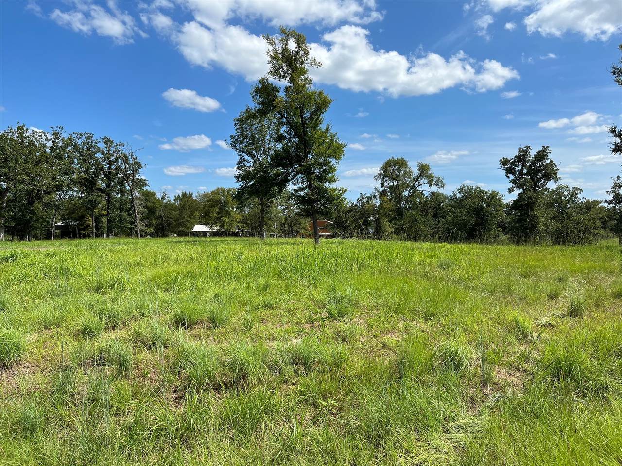 0 Hickory Loop - Photo 1