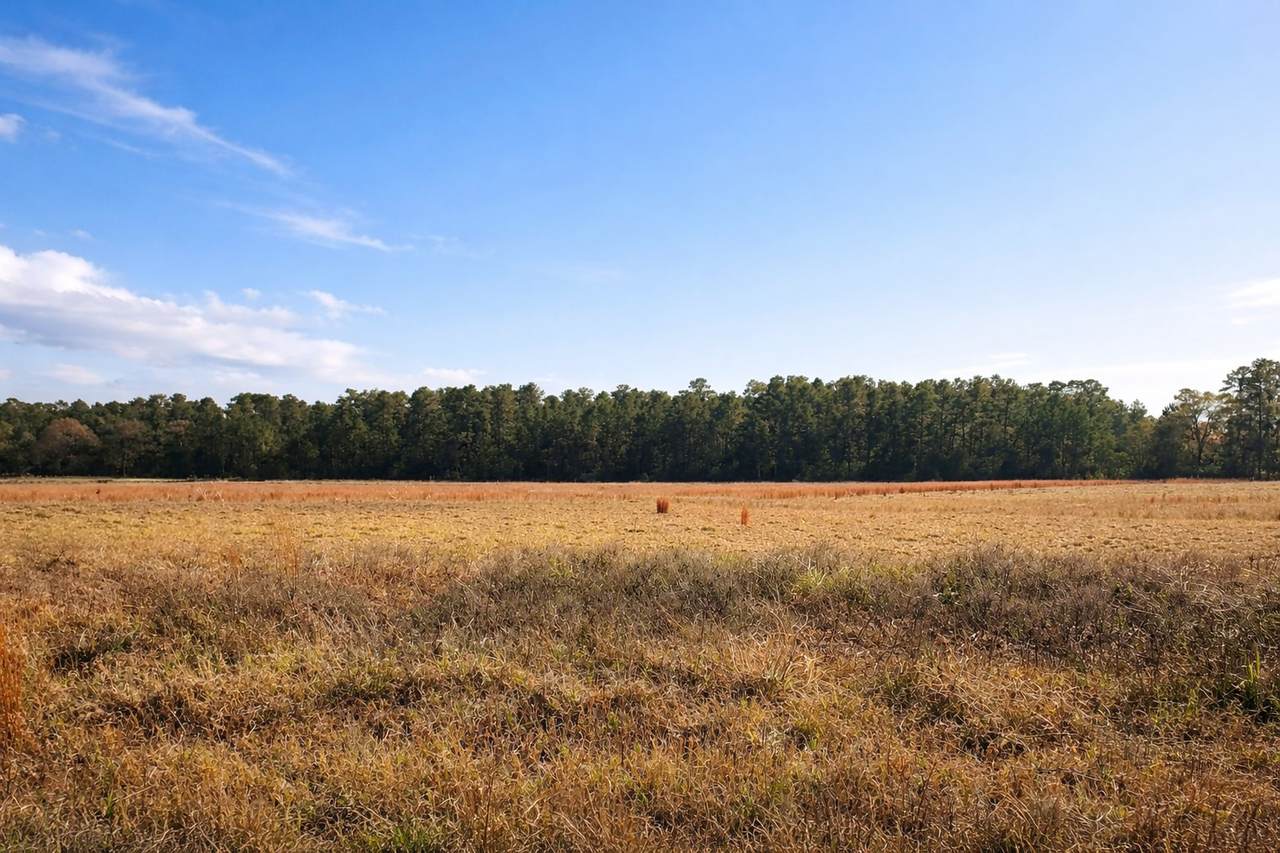 TBD Clearlake Lane - Photo 1