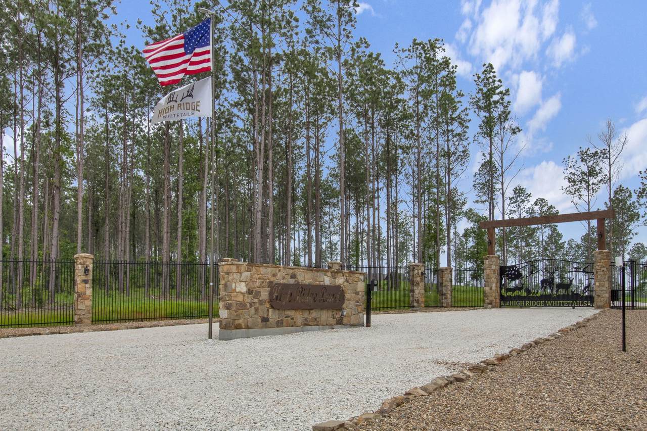 008 Big Buck Drive - Photo 1