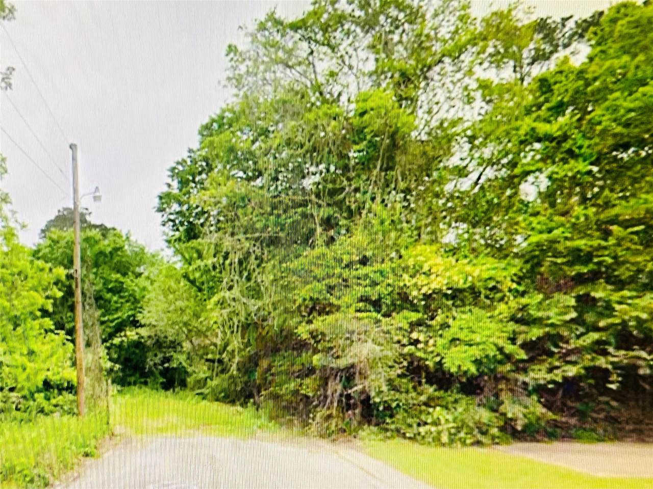 0 Harrison Street - Photo 1