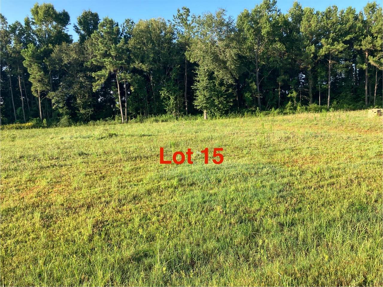 1041 Tarkington Timbers Drive - Photo 1