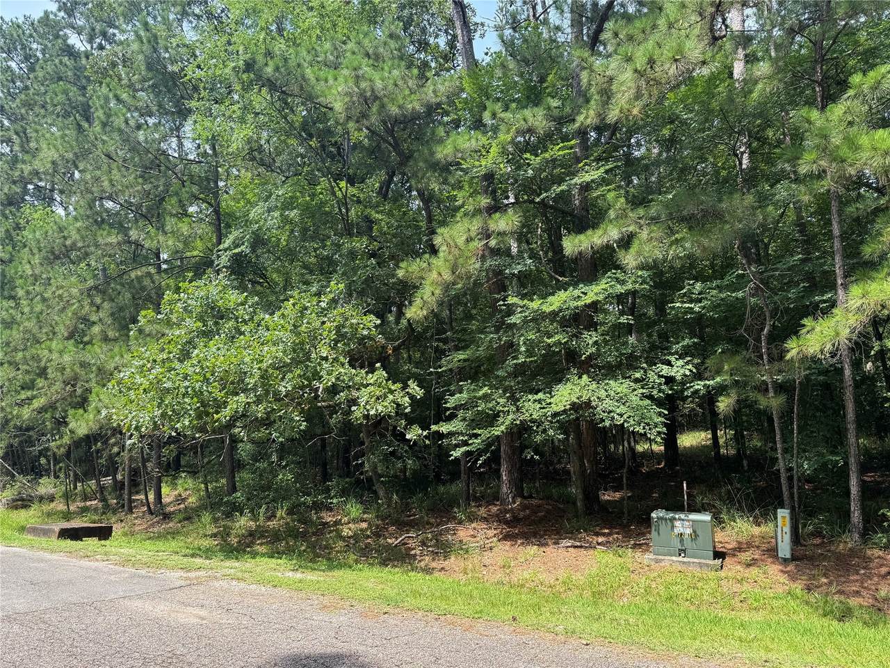 75 Green Tree Drive - Photo 1